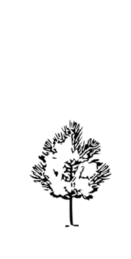 - Certificação ISO 9001 - Aumento da capacidade de produção de paletes - Produção anual de 1.000.000 de Paletes