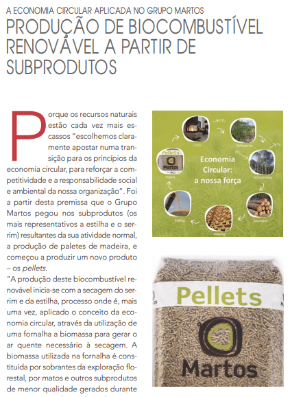 A MARTOS NA REVISTA DESAFIOS