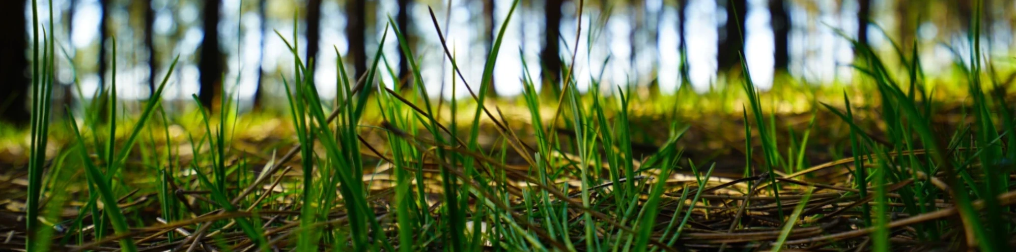 Sustentabilidade
